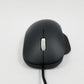 Black computer mouse on a light gray background